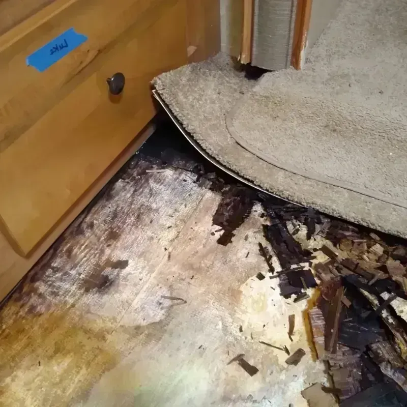 Wood Floor Water Damage in Cumberland County, NJ